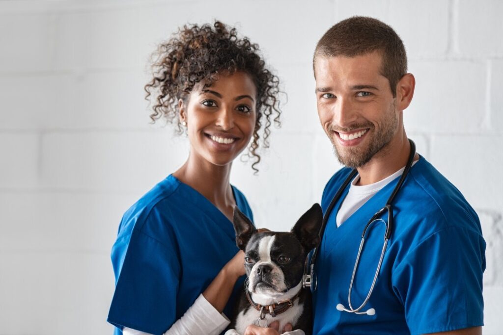 disability insurance for veterinarians
